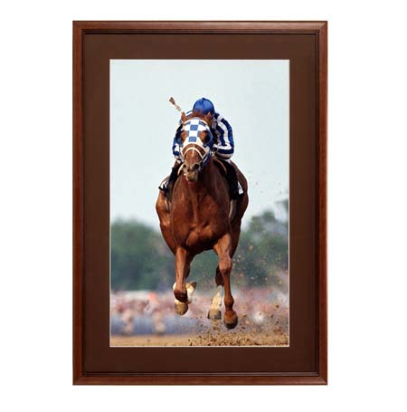 24 x 30 Wood Picture Poster Display Frames with Matboard (Wood 353) Online Hot Sale